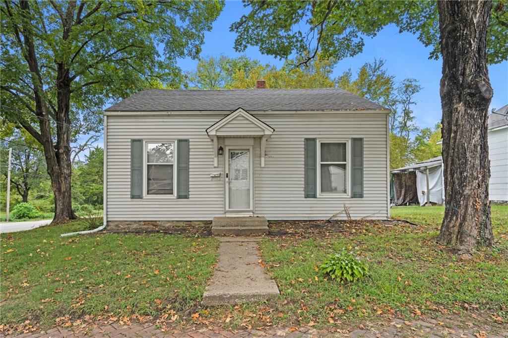Listing image 1