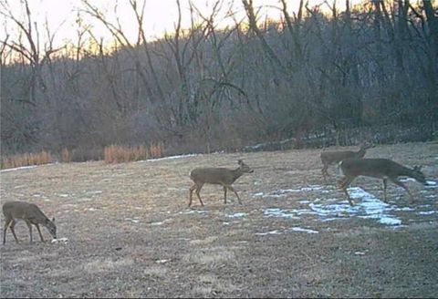 20401 E Bundschu Road, Independence, MO 64056 - #: 2601691