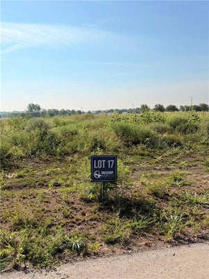 1085 ARIA DR, RAYMORE, MO 64083 - Image c29de08e8b2e4e6b3ac0e829c29b7915/2418782958