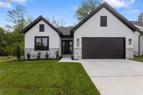 Photo of 9737 N Lucerne Avenue, Kansas City, MO 64153 (MLS # 2617079)