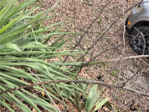 Tiny photo for 1125 Elizabeth Street, Liberty, MO 64068 (MLS # 2605656)