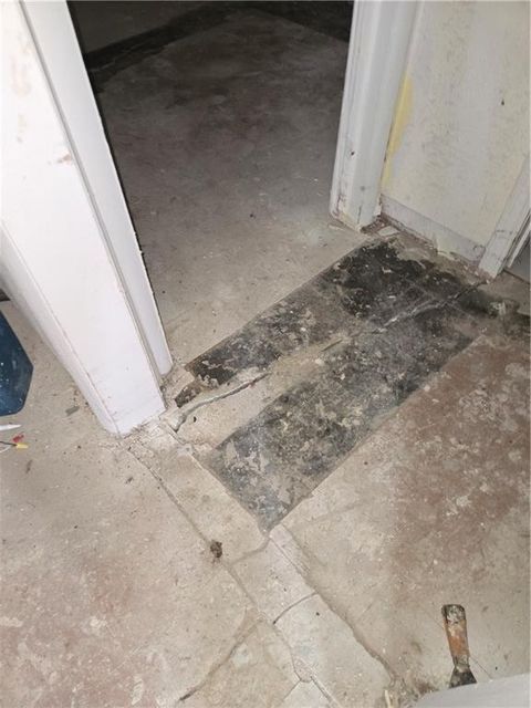 Tiny photo for 1125 Elizabeth Street, Liberty, MO 64068 (MLS # 2605656)