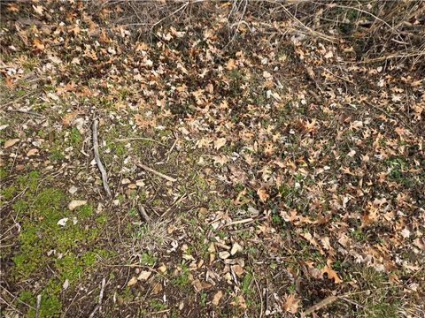 Tiny photo for 1125 Elizabeth Street, Liberty, MO 64068 (MLS # 2605656)