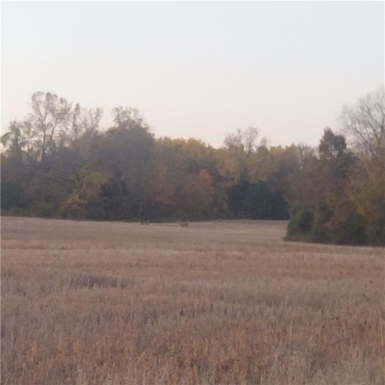 17-Acres E 315th Street