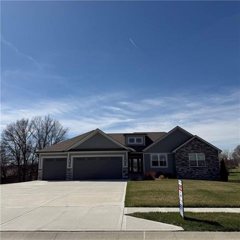 13504 Oakridge Drive Kearney MO 64060