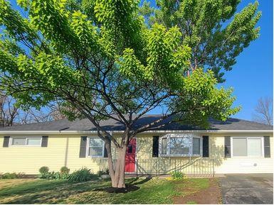 11316 LEWIS AVE, KANSAS CITY, MO 64134 - Image c7e37a45d41614e4e84310d77023e820/2025872115
