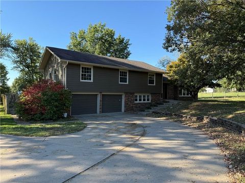 Photo of 17017 NE 180th Street, Holt, MO 64048 (MLS # 2579757)