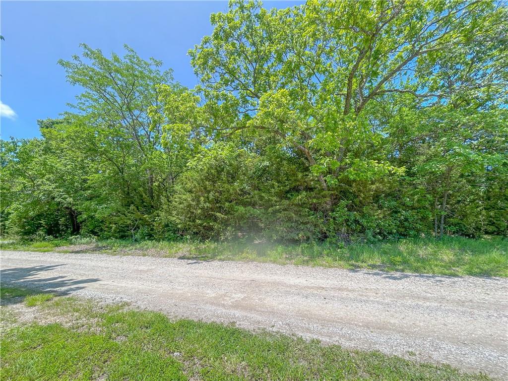 58 Buzzard Lane
