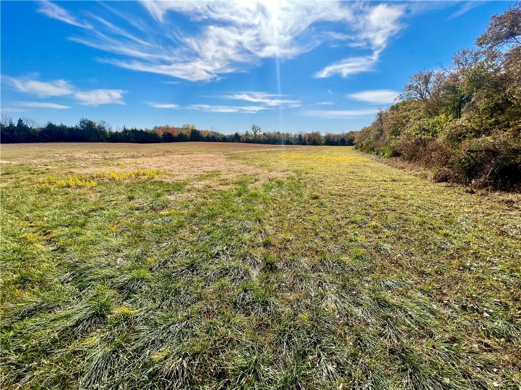125 Acres E 1296 Road
