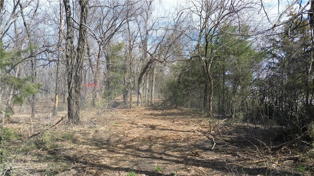 Tracts 1 & 3 Spring Valley Road