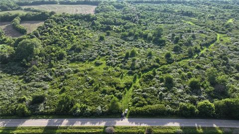 19702 County Rd C Highway Holt MO 64048