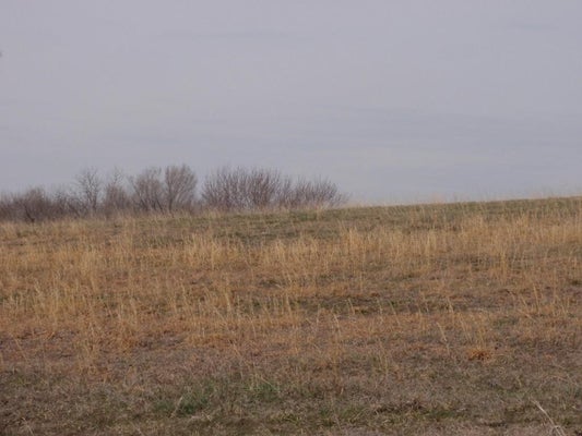2255 DOUGLAS RD, PERRY, KS 66073 - Image cfae418ebc8aa8e13fe091519b5b84d1/2941158936