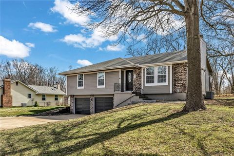 519 NE 112th Terrace Kansas City MO 64155