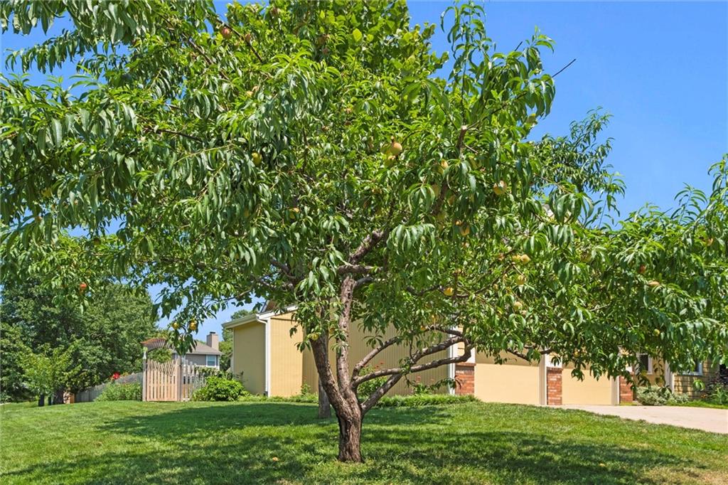 1204 Chadwick Court