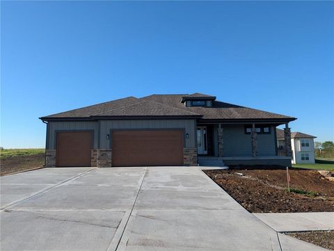 1309 Larkspur Place Raymore MO 64083
