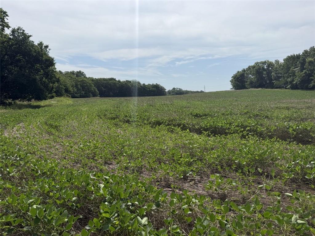 56 HWY & County Line Rd. N/A