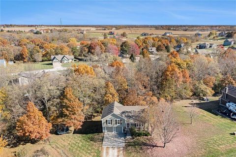 5871 SW Walnut Cove Trimble MO 64492