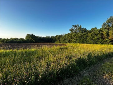 252 SW 601st rd Road Centerview MO 64019