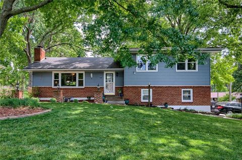 3 NE 81st Street, Kansas City, MO 64118 - MLS#: 2534371