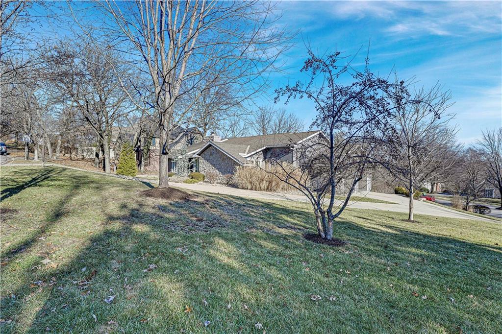 11021 Buena Vista Street