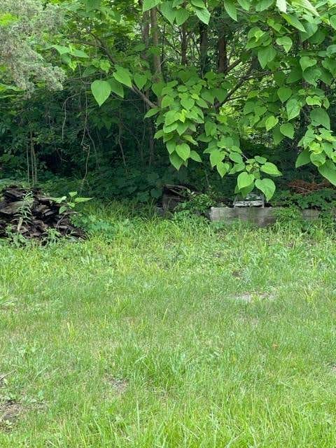 Photo of Wall Street, Altamont, MO 64620 (MLS # 2632452)