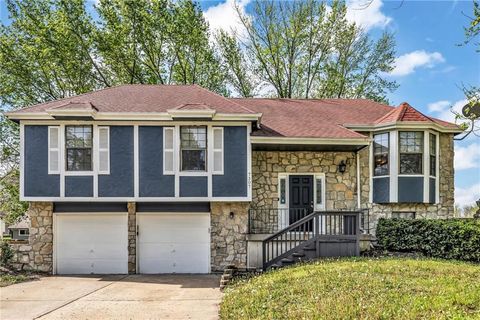 Photo of 7307 E 118th Place, Kansas City, MO 64134 (MLS # 2615409)