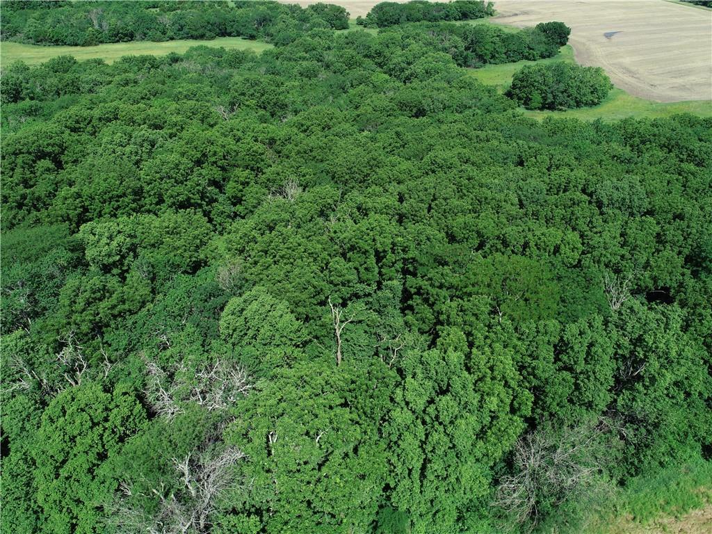 Metcalf Rd Road