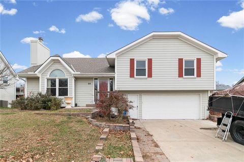 Photo of 828 Black Oak Drive, Liberty, MO 64068 (MLS # 2589550)