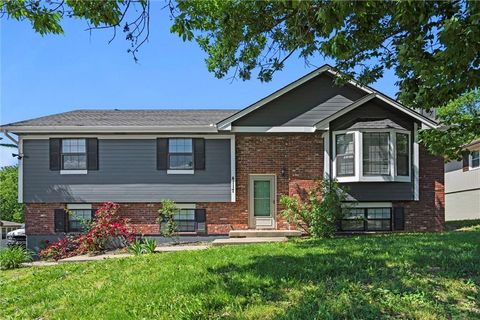 4117 NW Delwood Drive Blue Springs MO 64015