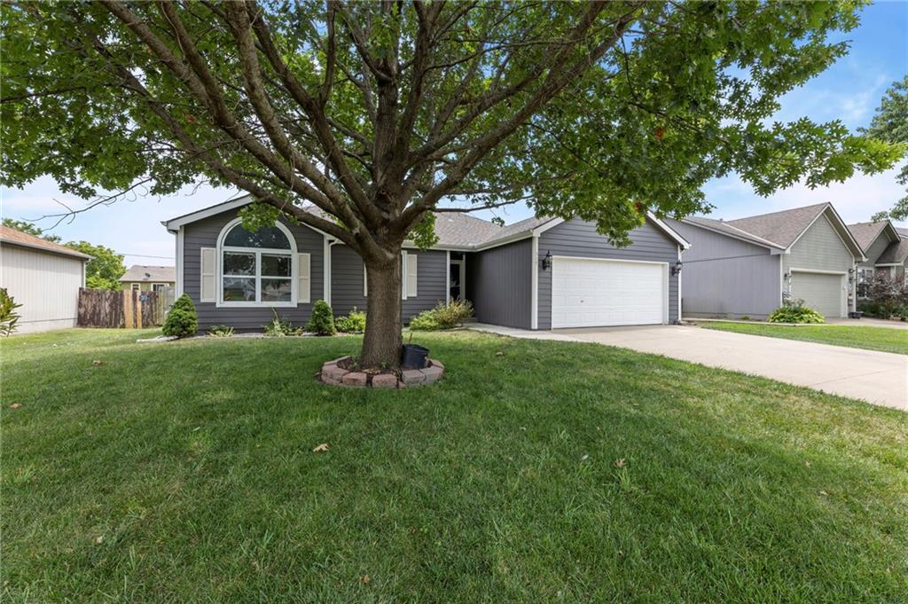 517 Shanandoah Drive
