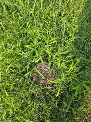 733 WALNUT AVE, OSAWATOMIE, KS 66064 - Image f4e667c8796e6c4ed6a4bb074eb070d5/3963923955