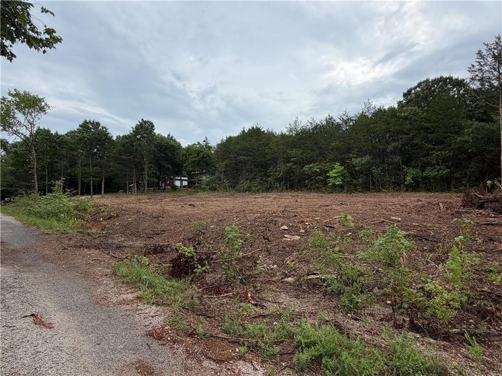 Photo 1 of 17 — 278 N Millwood Street, Shell Knob, MO 65747