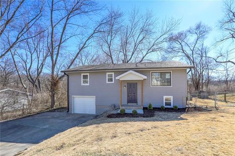 1121 Cordell Street, Excelsior Springs, MO 64024 - #: 2605807
