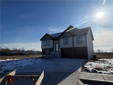 11207 207th Street, Peculiar, MO 64078 - #: 2551326