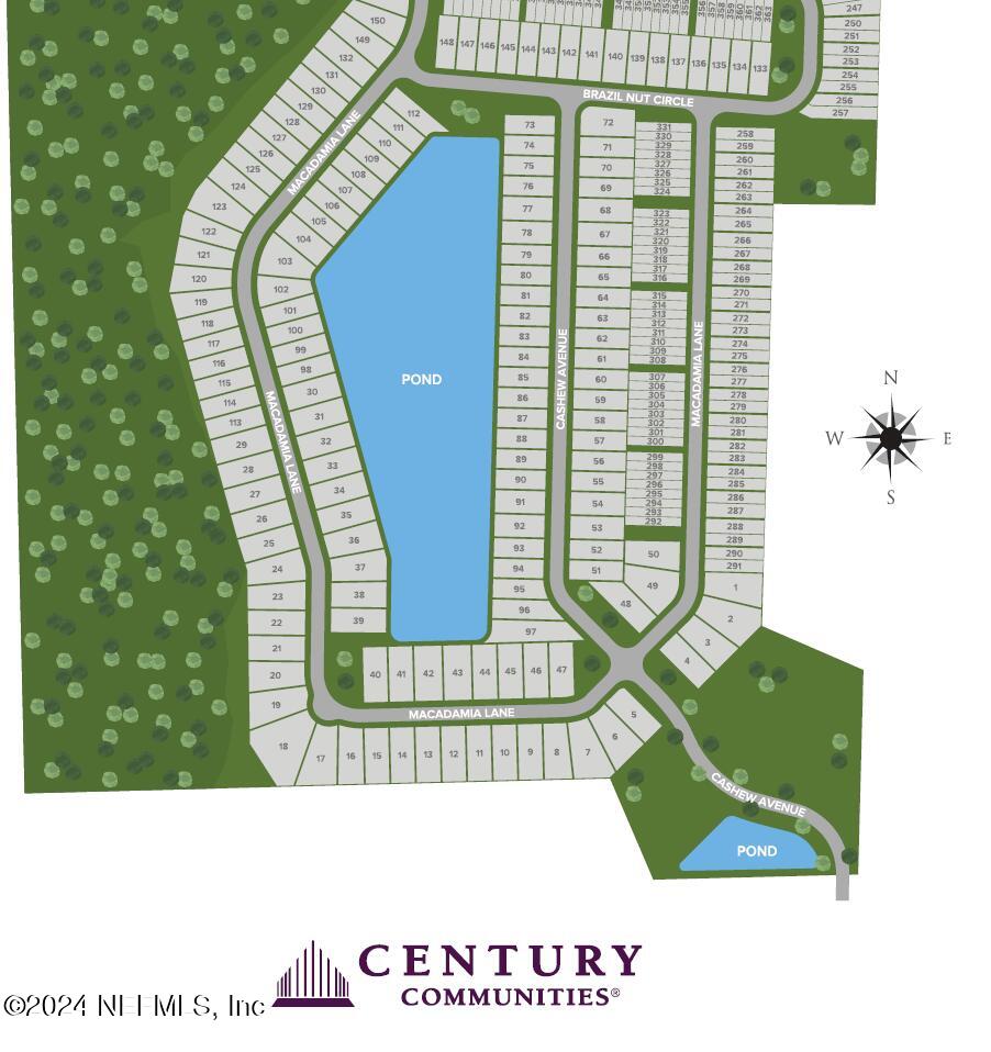 64 BRAZIL NUT Circle 136