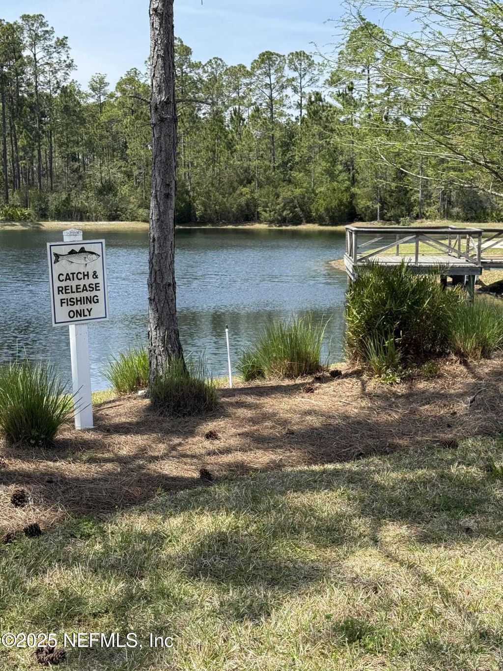 listing image 50