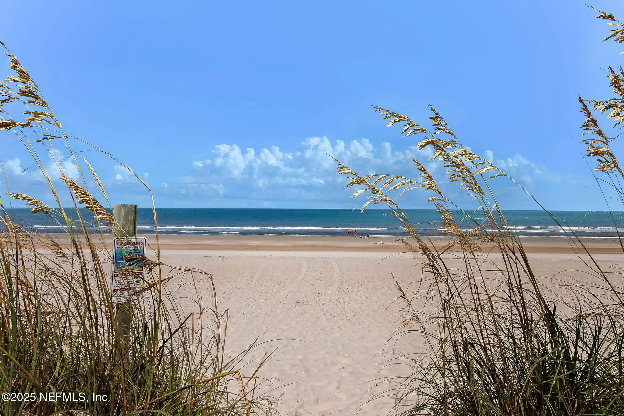 Fernandina Beach, Florida 32034, United States, ,Land,Active,239881