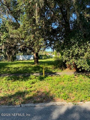 605 N MAGNOLIA AVE, GREEN COVE SPRINGS, FL 32043 - Image 05c5e41ac8e113f18b1bd2e1c5b171e7/3384518939