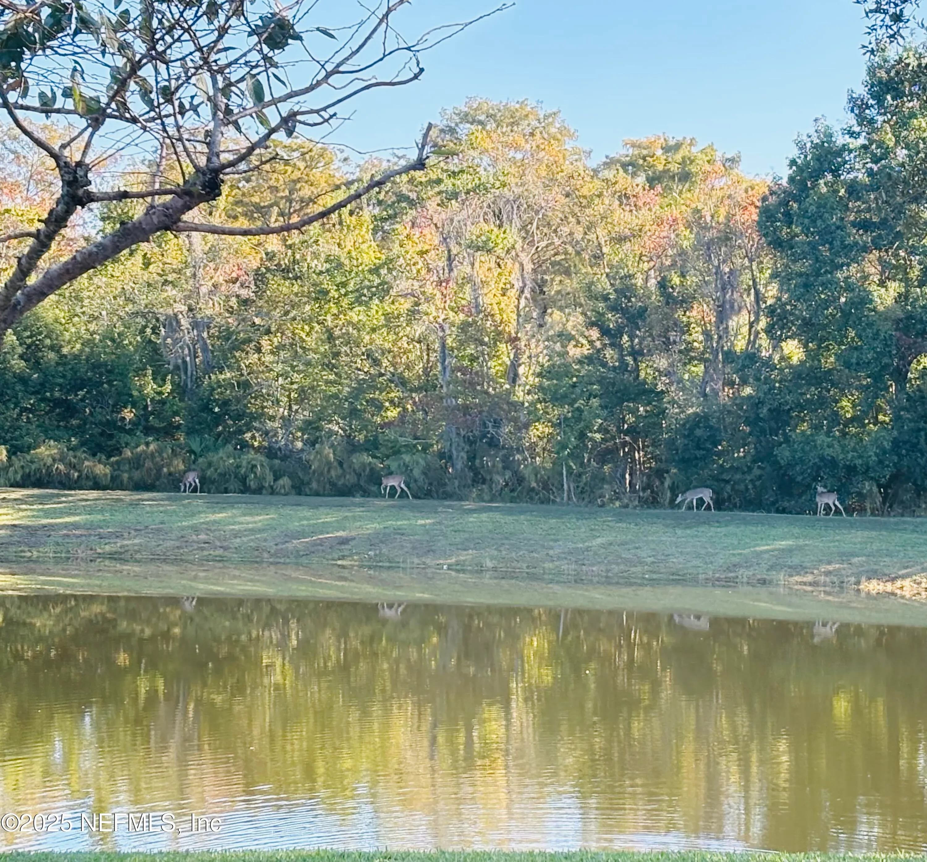 Jacksonville, Florida 32221, United States, 3 Bedrooms Bedrooms, ,2 BathroomsBathrooms,Residential,Active,244312