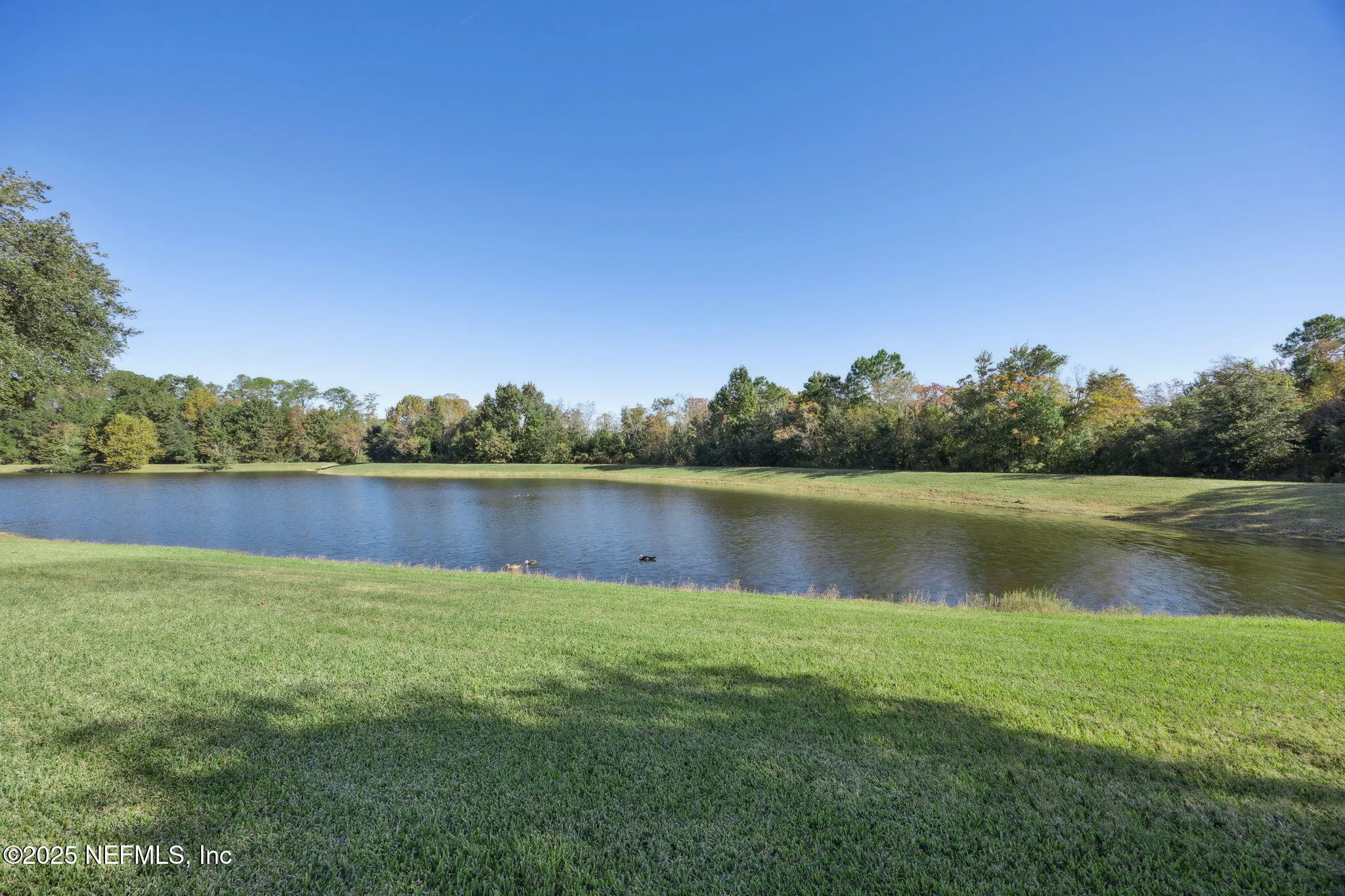 Jacksonville, Florida 32221, United States, 3 Bedrooms Bedrooms, ,2 BathroomsBathrooms,Residential,Active,244312