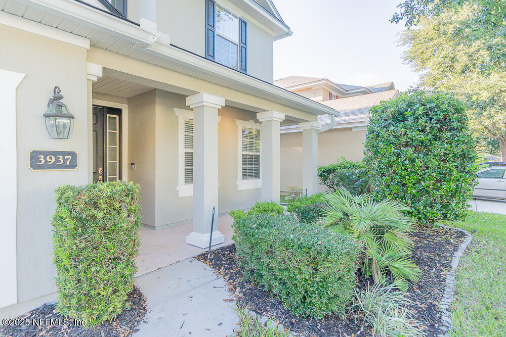 3937 RINGNECK Drive