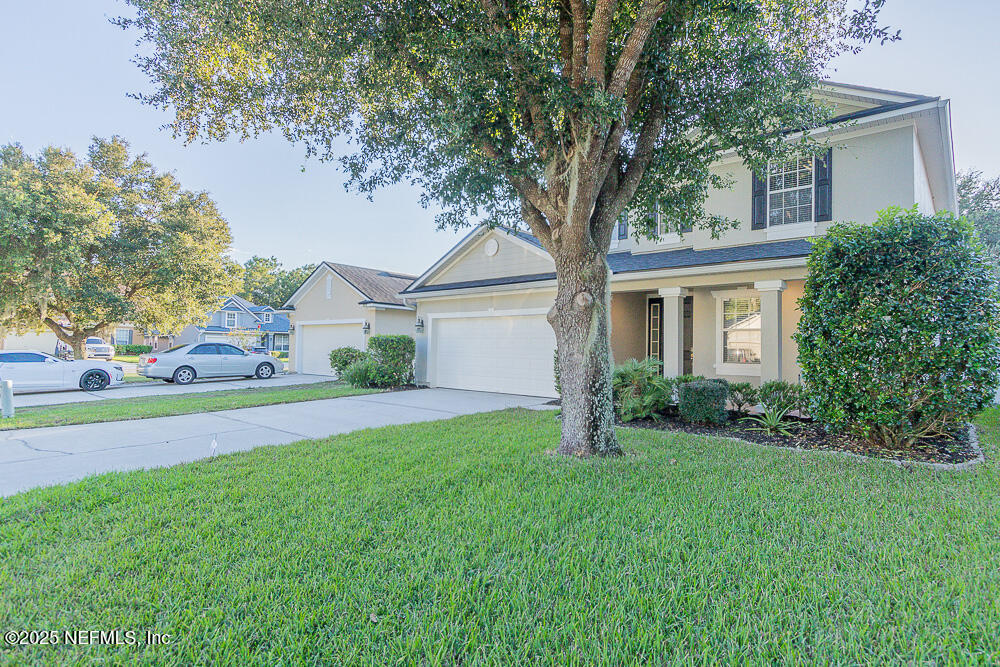 3937 RINGNECK Drive