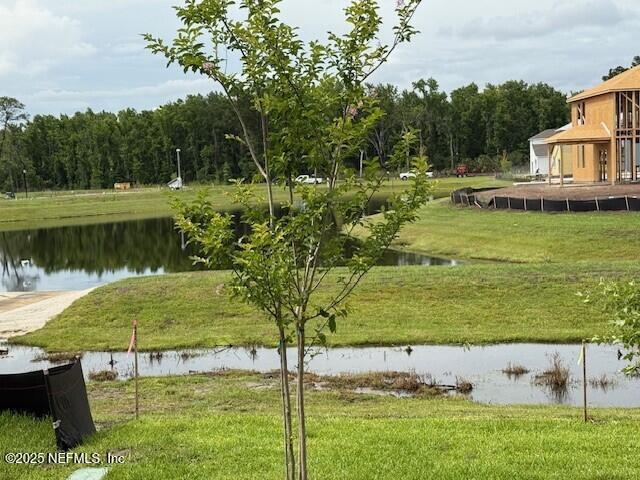 205 BRAZIL NUT Circle