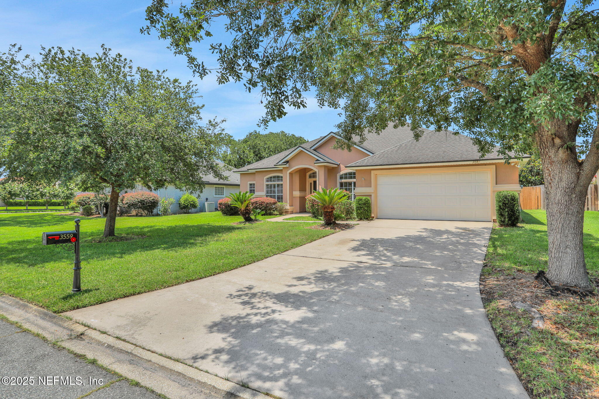 3559 OLYMPIC Drive