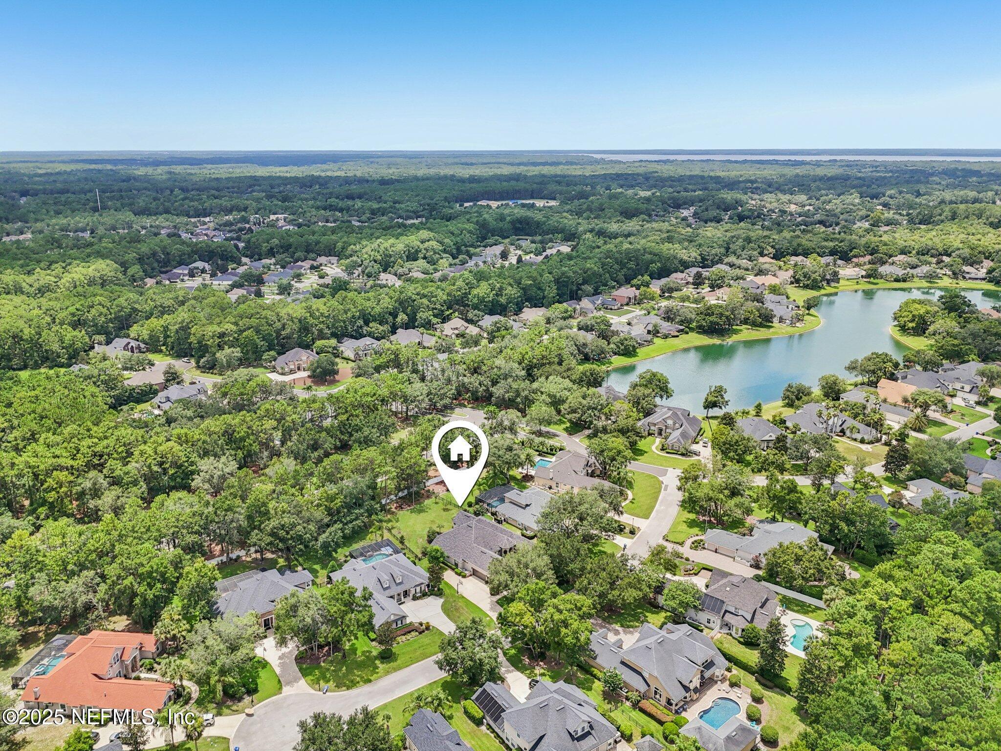 509 BRONZE BRANCH Court