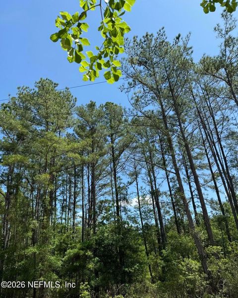 TBD NE 20TH Lane Lawtey FL 32058