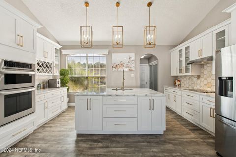 2955 RAVINE HILL Drive Middleburg FL 32068