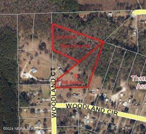 Unimproved Land in Callahan FL 44052 WOODLAND Court.jpg