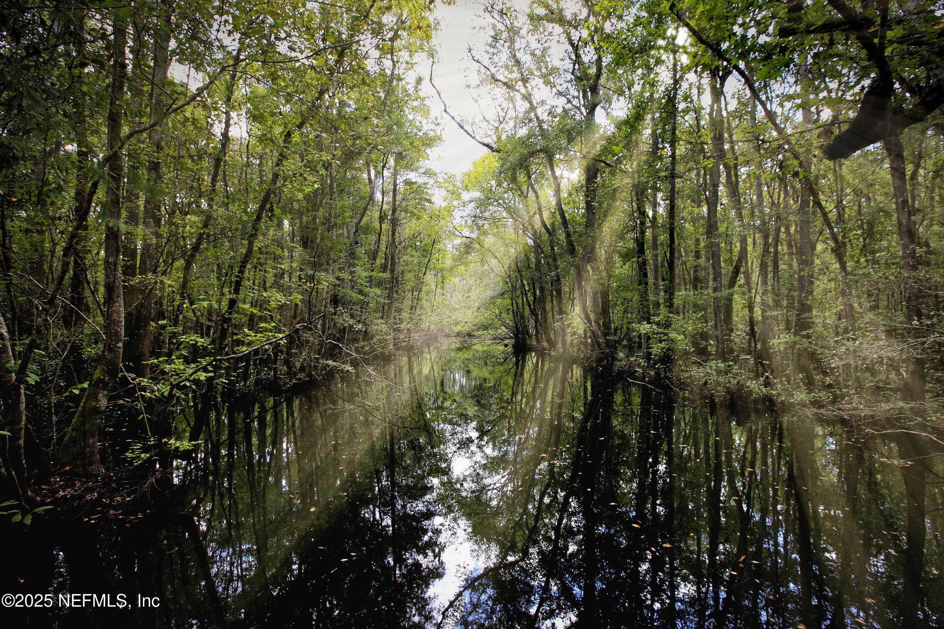 15554 THOMAS CREEK Way