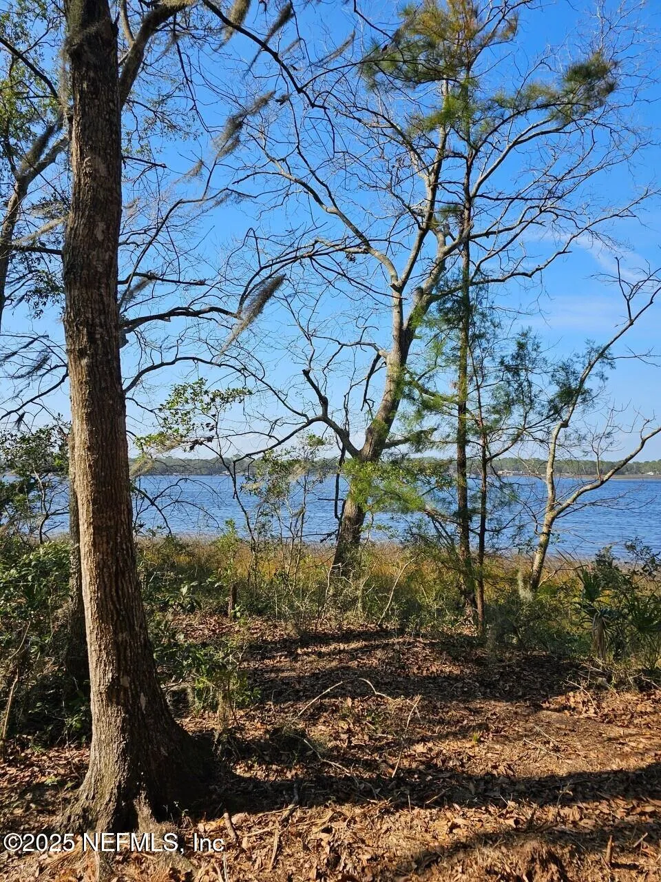 Fernandina Beach, Florida, 32034, United States, ,Land,Active,1824054